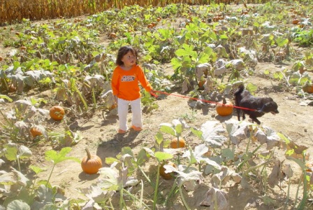 Kasen and Marley in the pumpkin patch